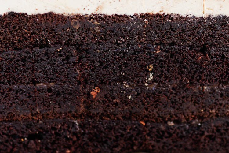 12" Square Chocolate Salted Caramel Cake with Salted Chocolate Buttercream (serves 28 - 30) - Burnt Honey Bakery - Burnt Honey Bakery
