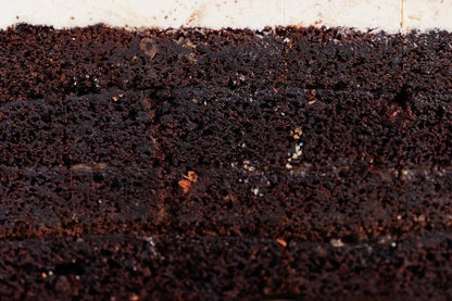 12" Square Chocolate Salted Caramel Cake with Salted Chocolate Buttercream (serves 28 - 30) - Burnt Honey Bakery - Burnt Honey Bakery